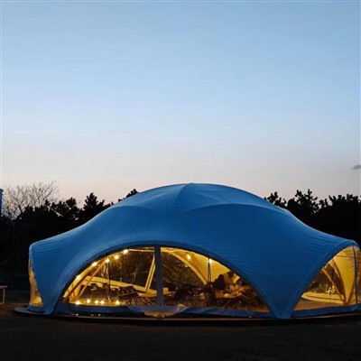 Party Dome Tents